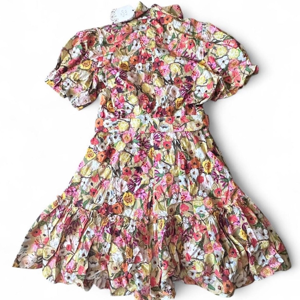 NWT Ivy City Co. Floral Print Virginia Dress - Picture 2 of 4